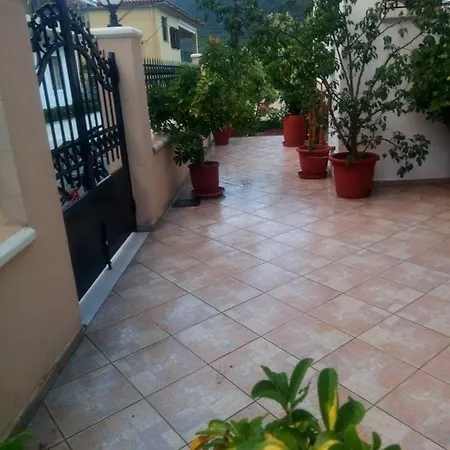 Apartment Delicatessen House *